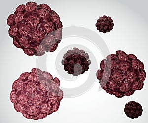 Isolated human papillomavirus or HPV scattered in the white background