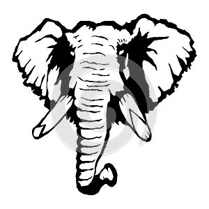 Isolated illustration of an elephant`s head