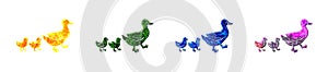 Isolated illustration of four ducks with ducklings consisting of different vibrant patterns