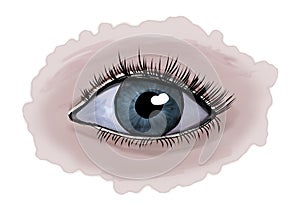 Isolated illustration of a realistic blue eye.
