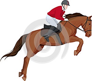 Isolated image of jumping horse and jokey