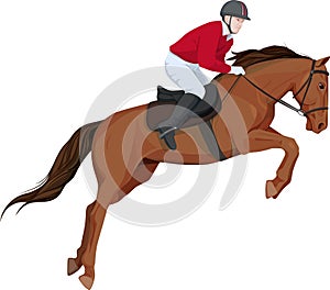 Isolated image of jumping horse and jokey photo