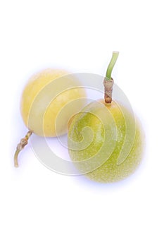 Isolated image of Passion Fruits.