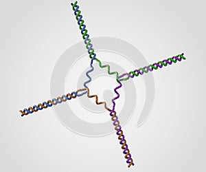 Isolated immobile nucleic acid junctions