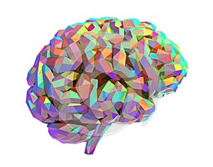 Isolated Iridescent Low Poly Human Brain, Side View