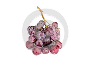 Isolated juicy bunch of large red grapes