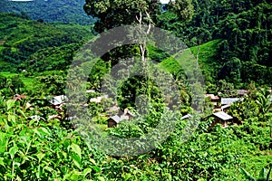 Isolated Khmu village in the jungle of Luang Namtha province, Laos