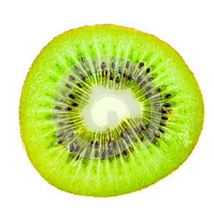 Isolated kiwi