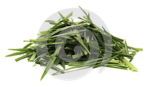 Isolated Pile Of Grass