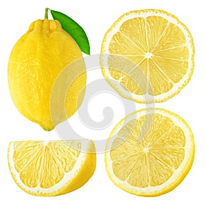 Isolated lemon fruits collection