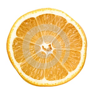 isolated lemon, half a ripe citrus fruit.