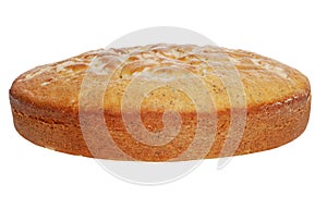 Isolated lemon poppy seed cake