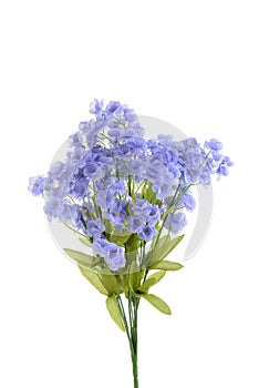 isolated light blue artificial flowers