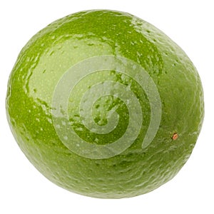 isolated lime, one citrus fruits cut from the background.