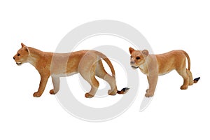 Isolated lioness toy photo.
