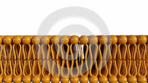 isolated of lipid bilayer molecules