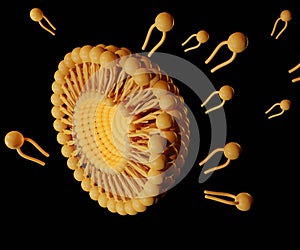 Isolated liposomal structure scattered on the black background