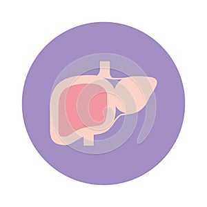 Isolated liver icon vector design