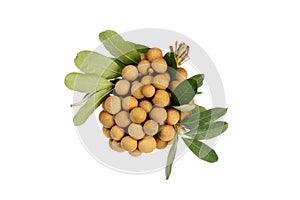 Isolated Longan (Dragon Eyes)