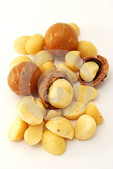 Isolated macadamia nuts