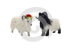 Isolated male and female sheep toys photo.
