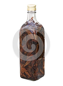 Isolated Mamajuana Bottle