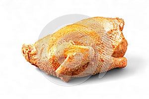 Isolated marinated whole raw chicken on white