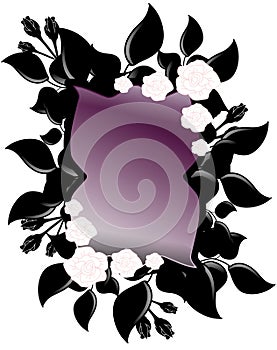 isolated Mirror with black and white roses