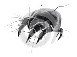 Isolated mite