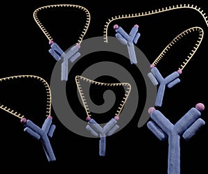 Molecular slingshot as a Antibody powered nucleic acid release using a DNA based nanomachine photo
