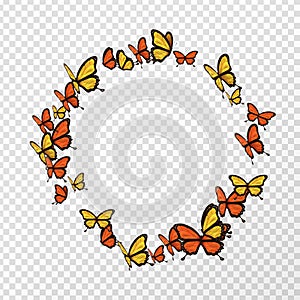 Isolated monarch butterfly copyspace circle shape