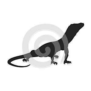 Isolated monitor lizard silhouette. Black drawing of varan. Big reptile image. Desert asian animal