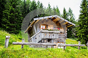 Isolated mountain cabin in the woods/house/isolated/green/wood/mountain/Dolomites/Italy