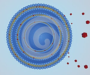 Isolated multi lamellar vesicle with scattered hydrophobic nanodrugs molecule