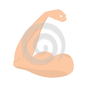 Isolated muscle arm on a white background