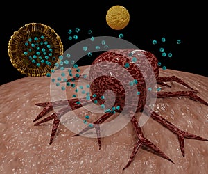 nanodrug delivery system with liposomes encapsulation cancer cell targeting photo