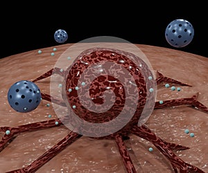 nanodrug delivery system with liposomes encapsulation cancer cell targeting photo
