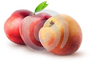 Isolated nectarines. Two whole nectarine fruits and peach with leaves isolated on white background with clipping path