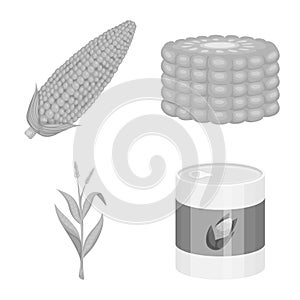 Isolated object of agriculture and nutrition symbol. Set of agriculture and vegetable stock symbol for web.