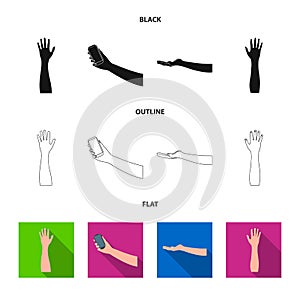 Isolated object of and animated symbol. Collection of and brachioplasty stock symbol for web.