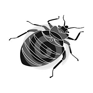 Isolated object of beetle and black symbol. Set of beetle and arthropod stock symbol for web.