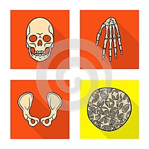 Isolated object of bone and skeleton sign. Collection of bone and human vector icon for stock.