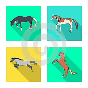 Isolated object of breed and equestrian logo. Collection of breed and mare vector icon for stock.