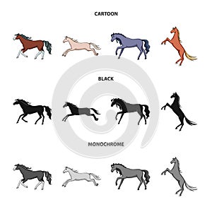 Isolated object of breed and equestrian sign. Set of breed and mare stock symbol for web.