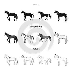 Isolated object of breed and equestrian symbol. Collection of breed and mare stock symbol for web.