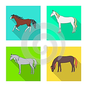 Isolated object of breed and equestrian symbol. Set of breed and mare stock vector illustration.