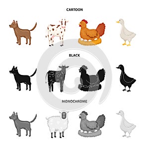 Isolated object of breeding and kitchen symbol. Collection of breeding and organic vector icon for stock.