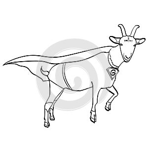 Isolated object coloring, black lines, white background. Flies Goat Animal Dressed As Superhero With clothes Vigilante