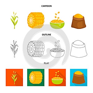 Isolated object of cornfield and vegetable icon. Collection of cornfield and vegetarian stock symbol for web.