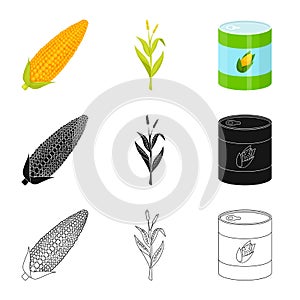 Isolated object of cornfield and vegetable icon. Collection of cornfield and vegetarian stock symbol for web.